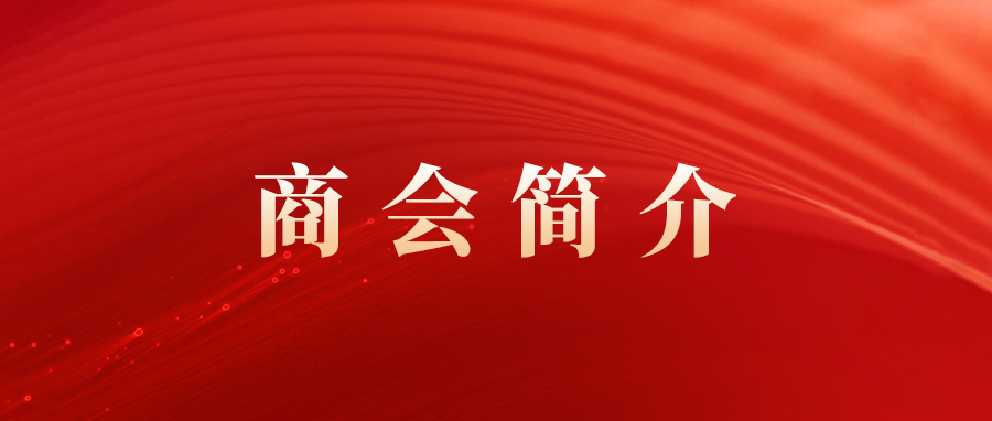 南京市云南商会简介